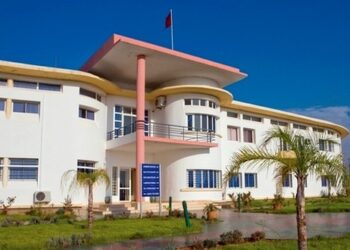 الحكومة تعلن عن تصفية وكالة النباتات الطبية والعطرية بتاونات.. وهذه مبرراتها