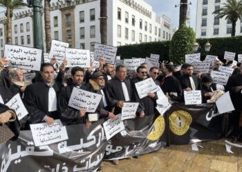 المحامون يُطالبون برحيل زميلهم وزير العدل في وقفتهم أمام البرلمان بالرباط