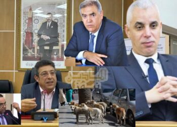 صورة مركبة..لفتيت ووالي فاس وعمدتها ومستشار جماعي مفجر الفضيحة