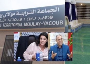 الصورة مركبة/الميادين زعيما البام والحركة