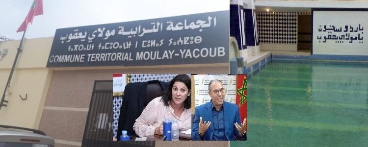 الصورة مركبة/الميادين زعيما البام والحركة