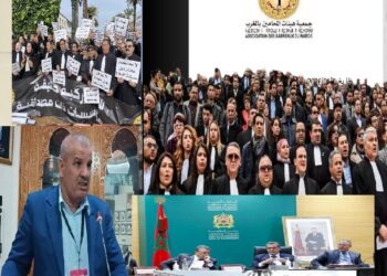 صورة مركبة المحامي الاسماعيلي بهيئة مكناس وفي الإطار جمعية المحامين واجتماع حكومي سابق مع ممثليها