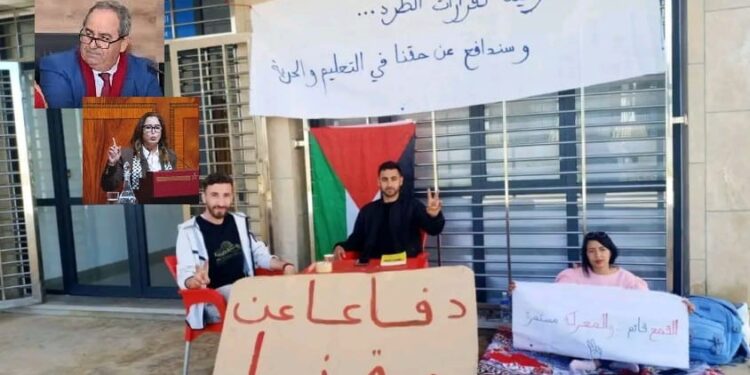 صورة مركبة..جامعة ابن طفيل بمراكش