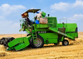 موسم الحصاد بدكالة