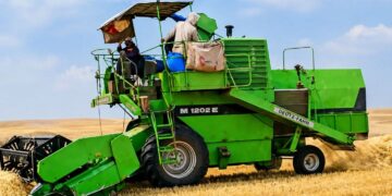 موسم الحصاد بدكالة