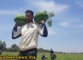 مولاي يعقوب(ربورتاج): منتجو”دلاح سبو” يشتكون من غياب الدعم وعدم استقرار الأثمنة ((فيديو))
