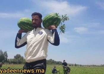 مولاي يعقوب(ربورتاج): منتجو”دلاح سبو” يشتكون من غياب الدعم وعدم استقرار الأثمنة ((فيديو))