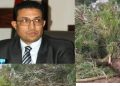 الجديدة: قطع أشجار غابة الحوزية يُثير زوبعة .. وجمعية حقوقية تُطالب بتوضيحات رسمية