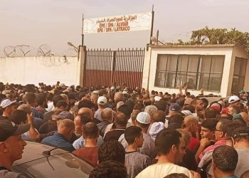تقديم 41 “فراقشي” وموظفين عموميين  أمام القضاء.. متابعة 13 منهم في حالة اعتقال بالجزائر