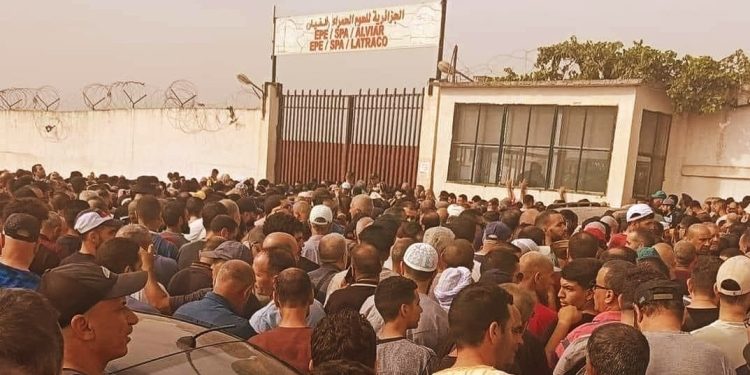 تقديم 41 “فراقشي” وموظفين عموميين  أمام القضاء.. متابعة 13 منهم في حالة اعتقال بالجزائر