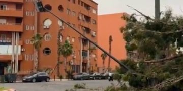 مراكش: عاصفة رملية مصحوبة برياح قوية تسقط الأشجار وأعمدة الإنارة العمومية