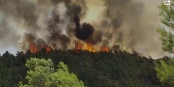 بالفيديو من إقليم تازة : “الكنادير” تتدخل لإخماد حرائق بغابات أكنول