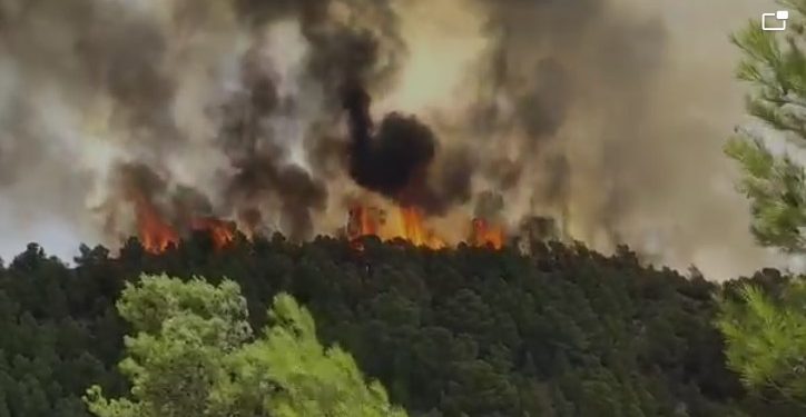 بالفيديو من إقليم تازة : “الكنادير” تتدخل لإخماد حرائق بغابات أكنول