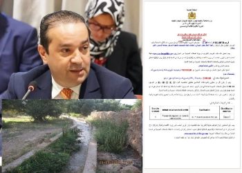 محمد شوكي وتسريب إنجاز ساقية حكومية