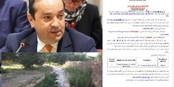محمد شوكي وتسريب إنجاز ساقية حكومية