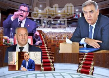 أخيرا شوكي يخرج عن صمته في قضية الفايق وإفساد انتخابات 2021
