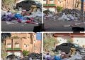 حي مارجوريل بمراكش - الميادين نيوز حي مارجوريل بمراكش