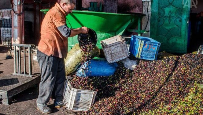 معصرة-780x470-1-664x400 - الميادين نيوز بالفيديو: الزيادة في أسعار عصر الزيتون يُغضب فلاحي مولاي يعقوب.. أفسد عليهم فرحتهم بوفرة منتوج هذه السنة